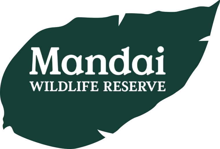 Mandai Wildlife Reserve